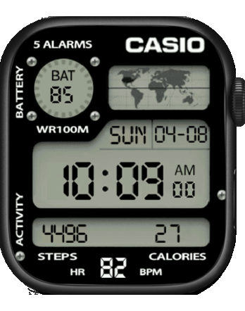 Casio WR100M