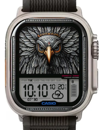 Eagle Casio